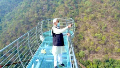 Rajgir Glass Bridge