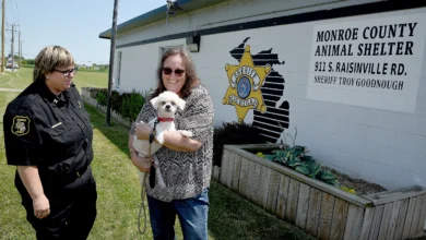 monroe county animal shelter