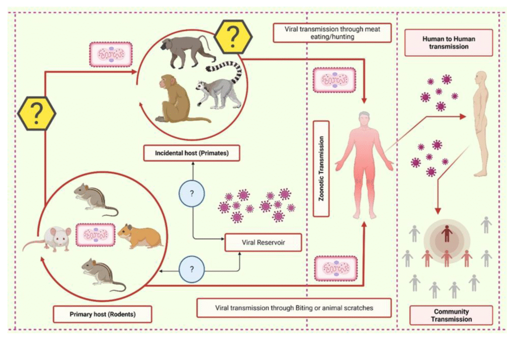 Monkeypox Cases Rising in 2024: Symptoms, Prevention & Latest Updates Monkeypox Cases Rising in 2024: Symptoms, Prevention & Latest Updates